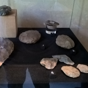 Vitrine paléolithique
