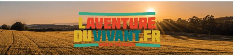 getLienPreviewDocument (2)