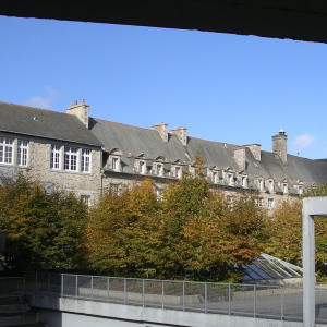 photo 071